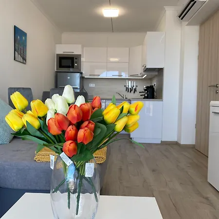 Apartament Cruiser By Bltn Siófok