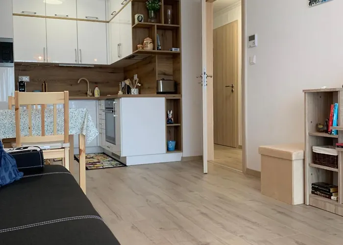 Cruiser By Bltn שיופוק