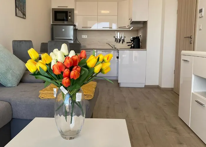 Cruiser By Bltn דירה