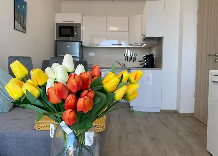 דירה Cruiser By Bltn שיופוק